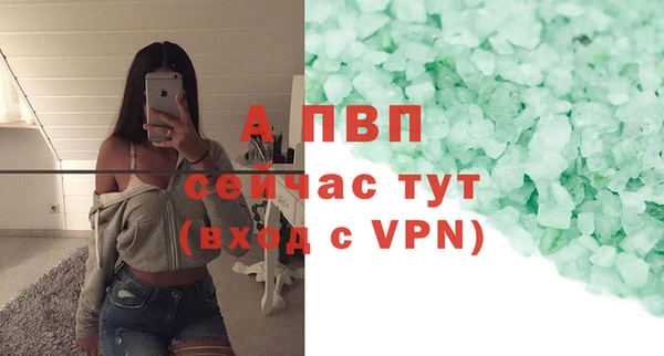 сатива Гусь-Хрустальный