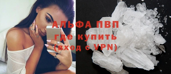 сатива Гусь-Хрустальный