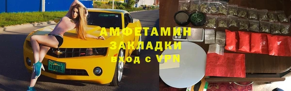 сатива Гусь-Хрустальный