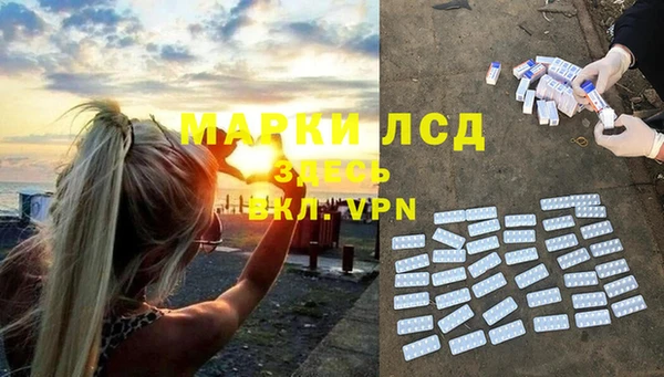 сатива Гусь-Хрустальный