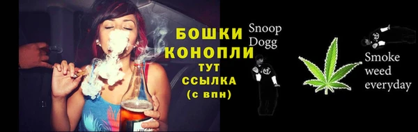 сатива Гусь-Хрустальный