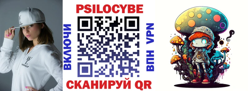 Купить Козельск Галлюциногенные грибы Cubensis